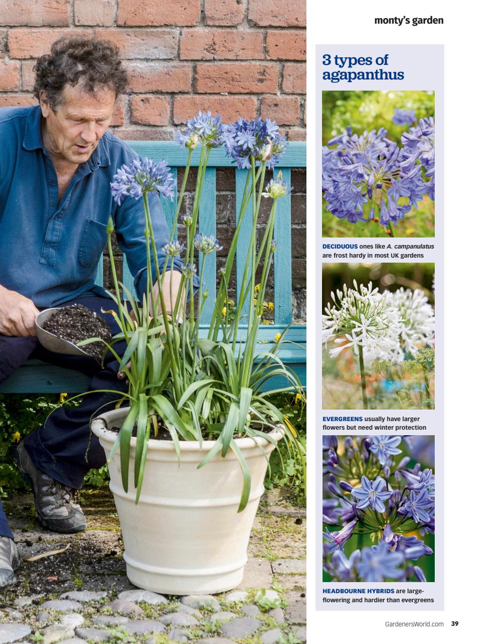 Bbc Gardeners World Magazine Subscriptions And June Issue