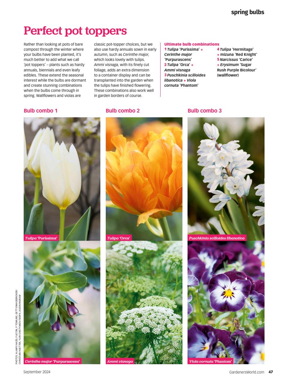 BBC Gardeners World Magazine Subscriptions And September 2024 Issue