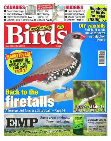 Cage & Aviary Birds issue No.5855 Back to the Firetails