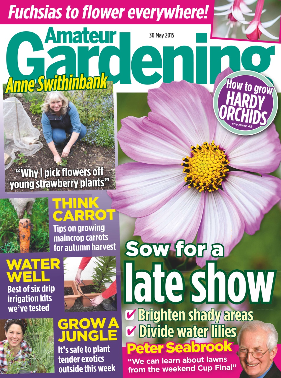 Amateur Gardening Preview Pages