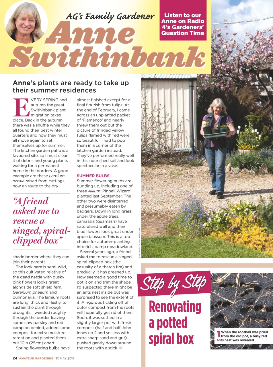 Amateur Gardening Preview Pages
