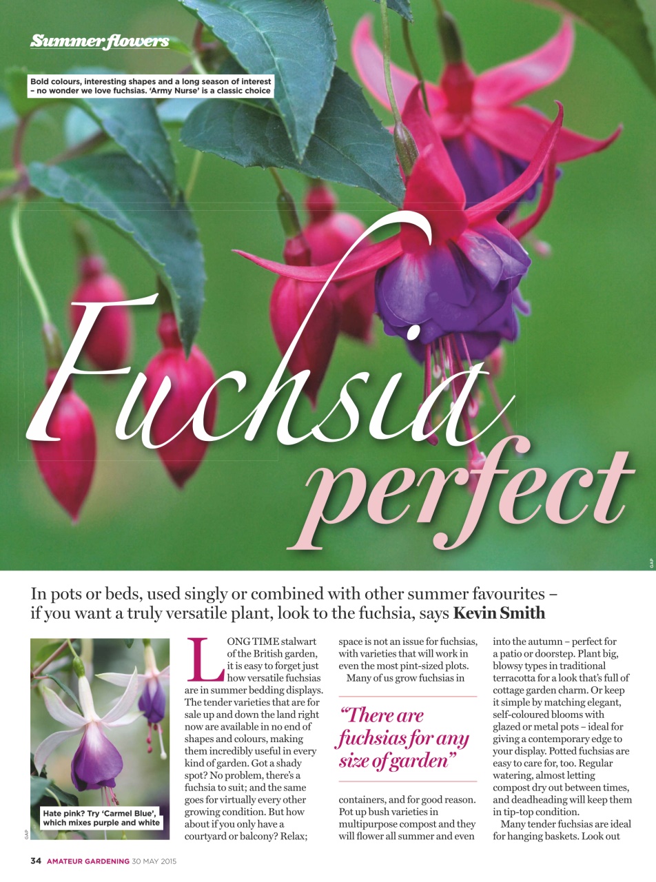 Amateur Gardening Preview Pages