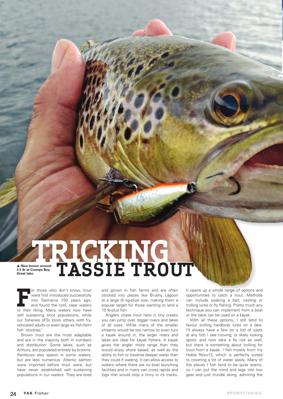 Yak Fisher Preview Pages