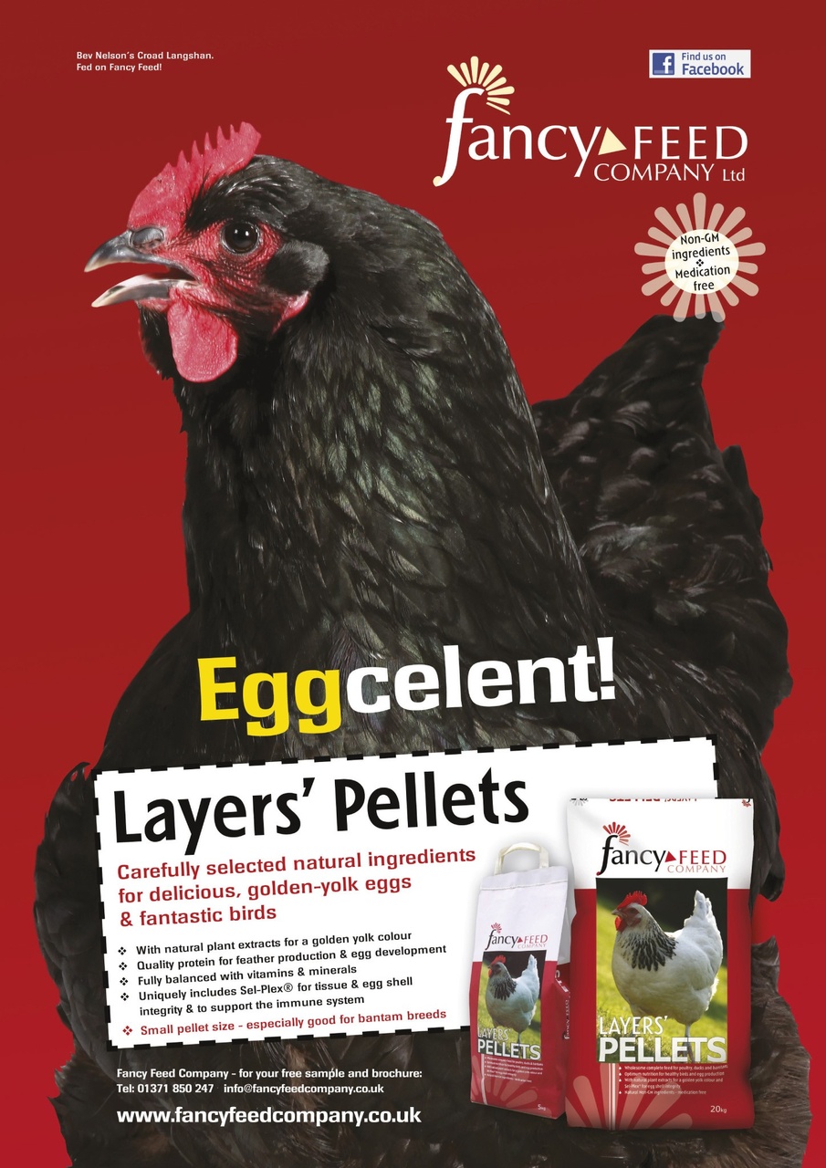 Practical Poultry Preview Pages