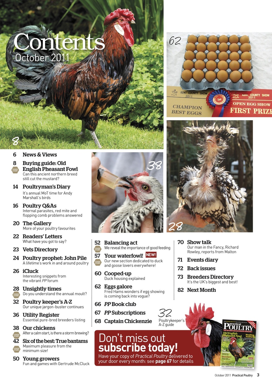 Practical Poultry Preview Pages