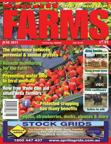 Small Farms issue June 2015
