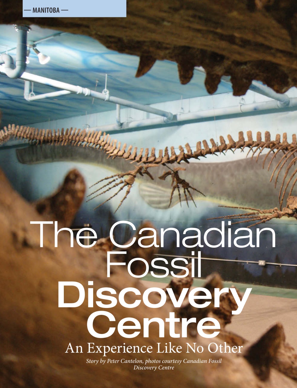 Snowbirds & RV Travelers Preview Pages