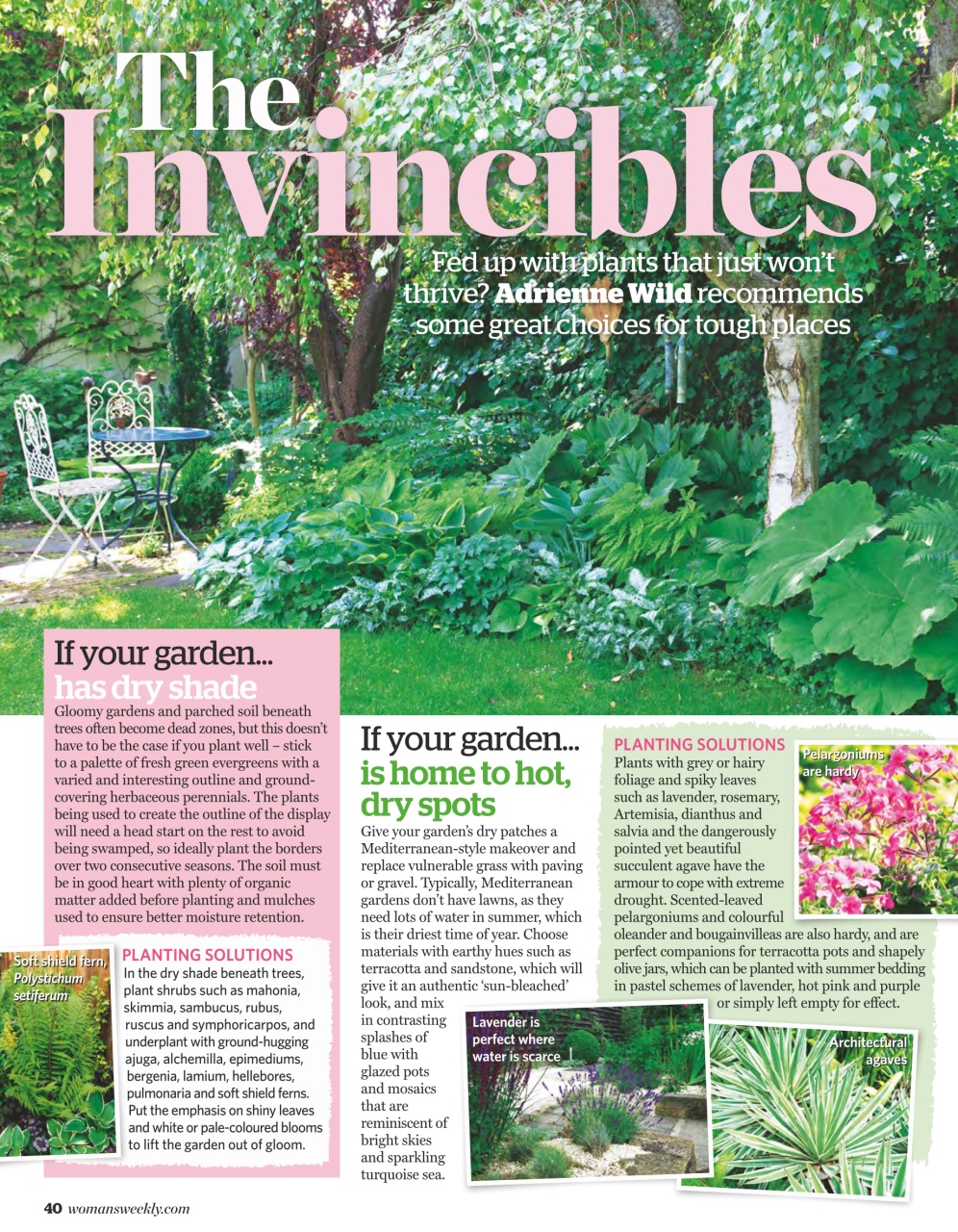 Woman's Weekly Preview Pages