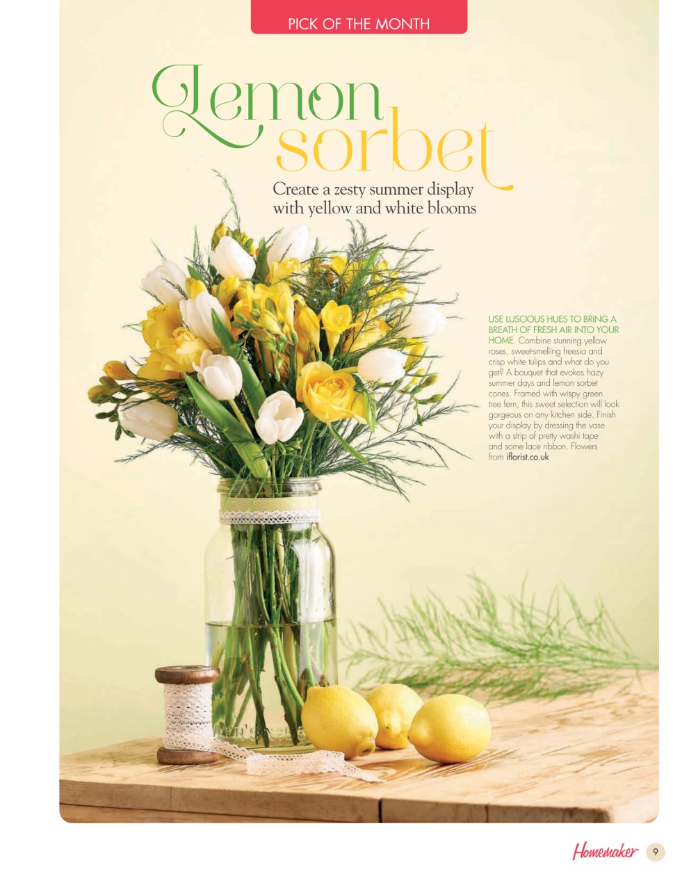 Homemaker Preview Pages