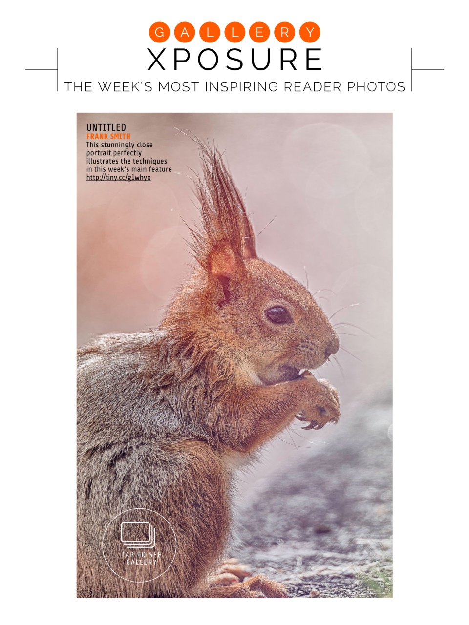 Photography Week Preview Pages