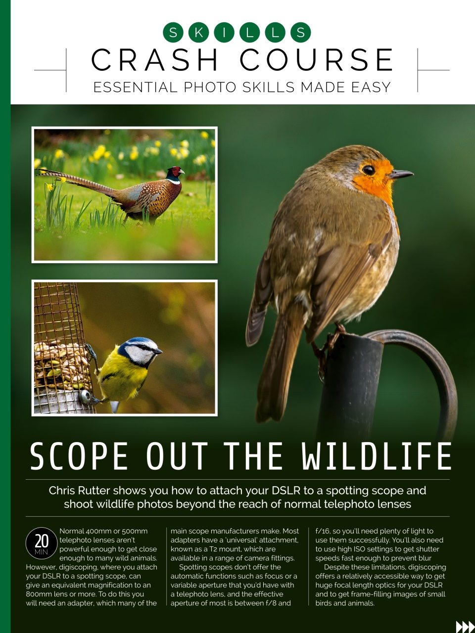 Photography Week Preview Pages