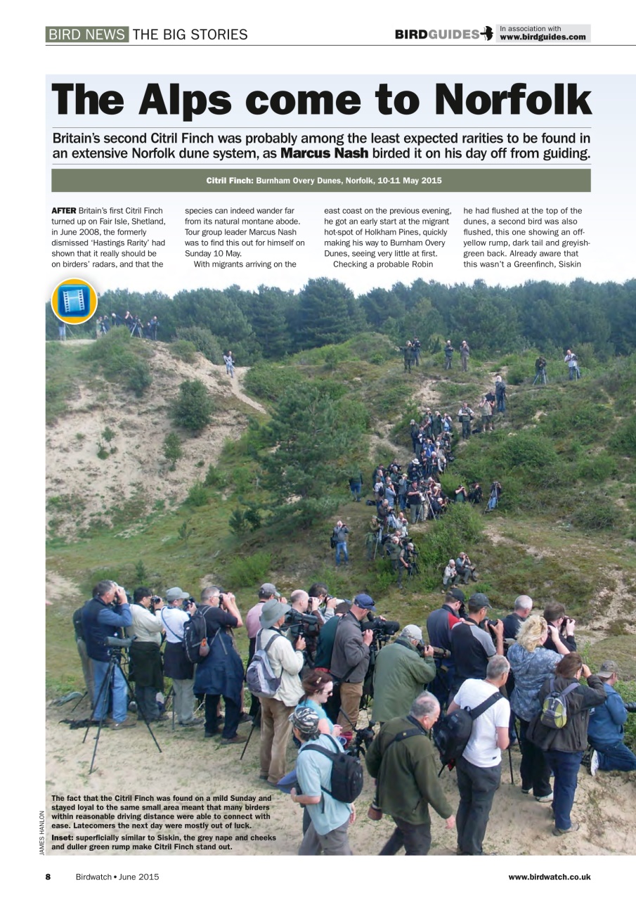 Birdwatch Magazine Preview Pages