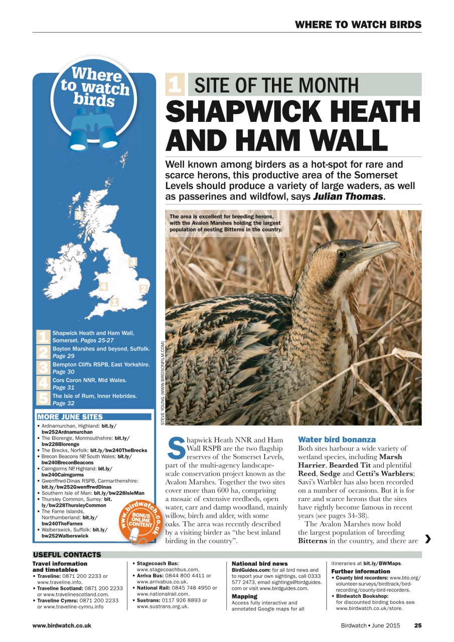 Birdwatch Magazine Preview Pages