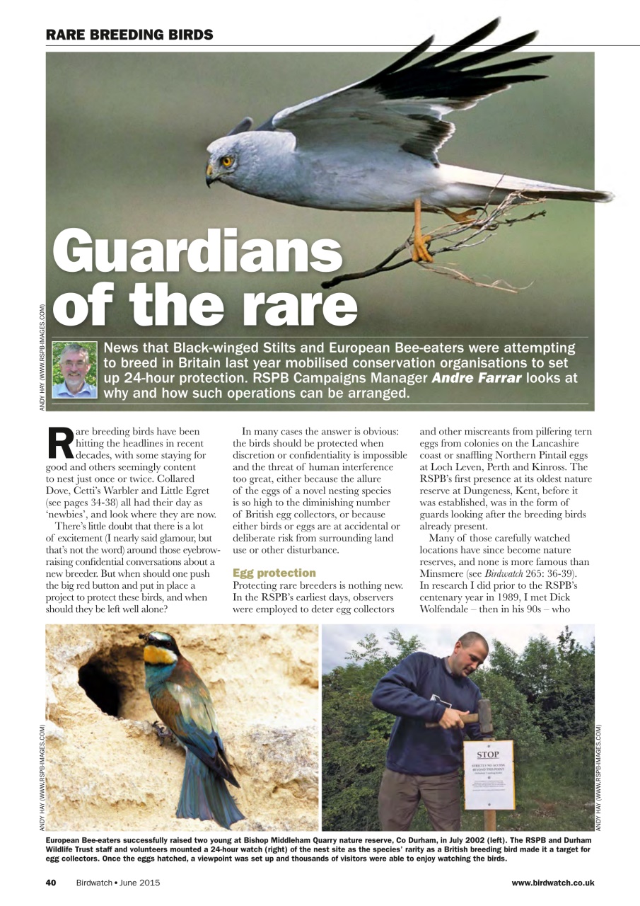 Birdwatch Magazine Preview Pages