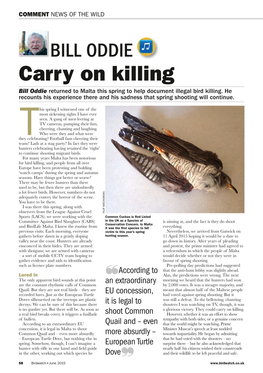 Birdwatch Magazine Preview Pages