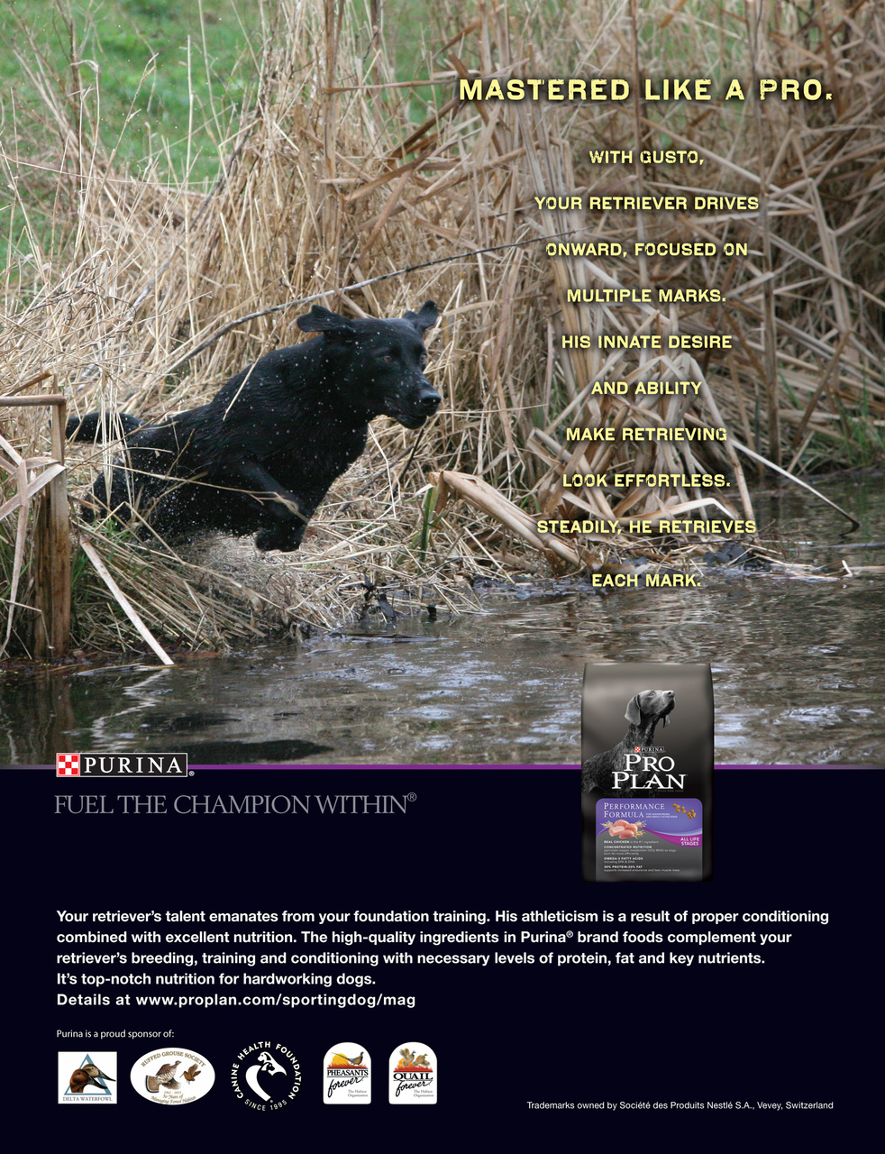 American Waterfowler Preview Pages