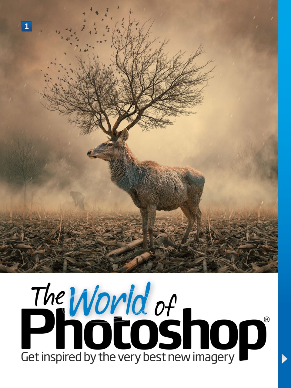 Practical Photoshop Preview Pages