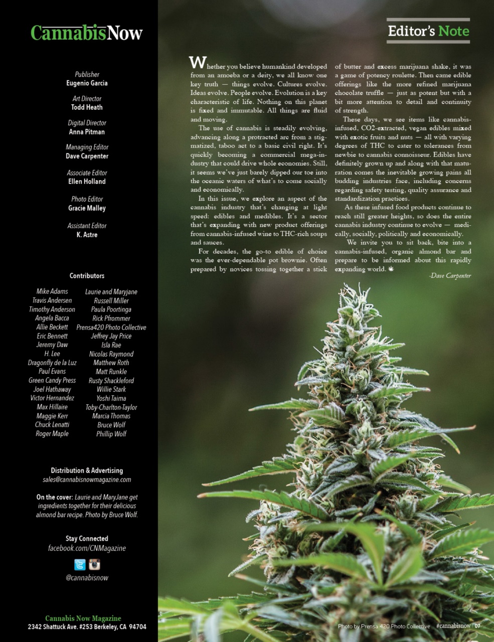 Cannabis Now Preview Pages