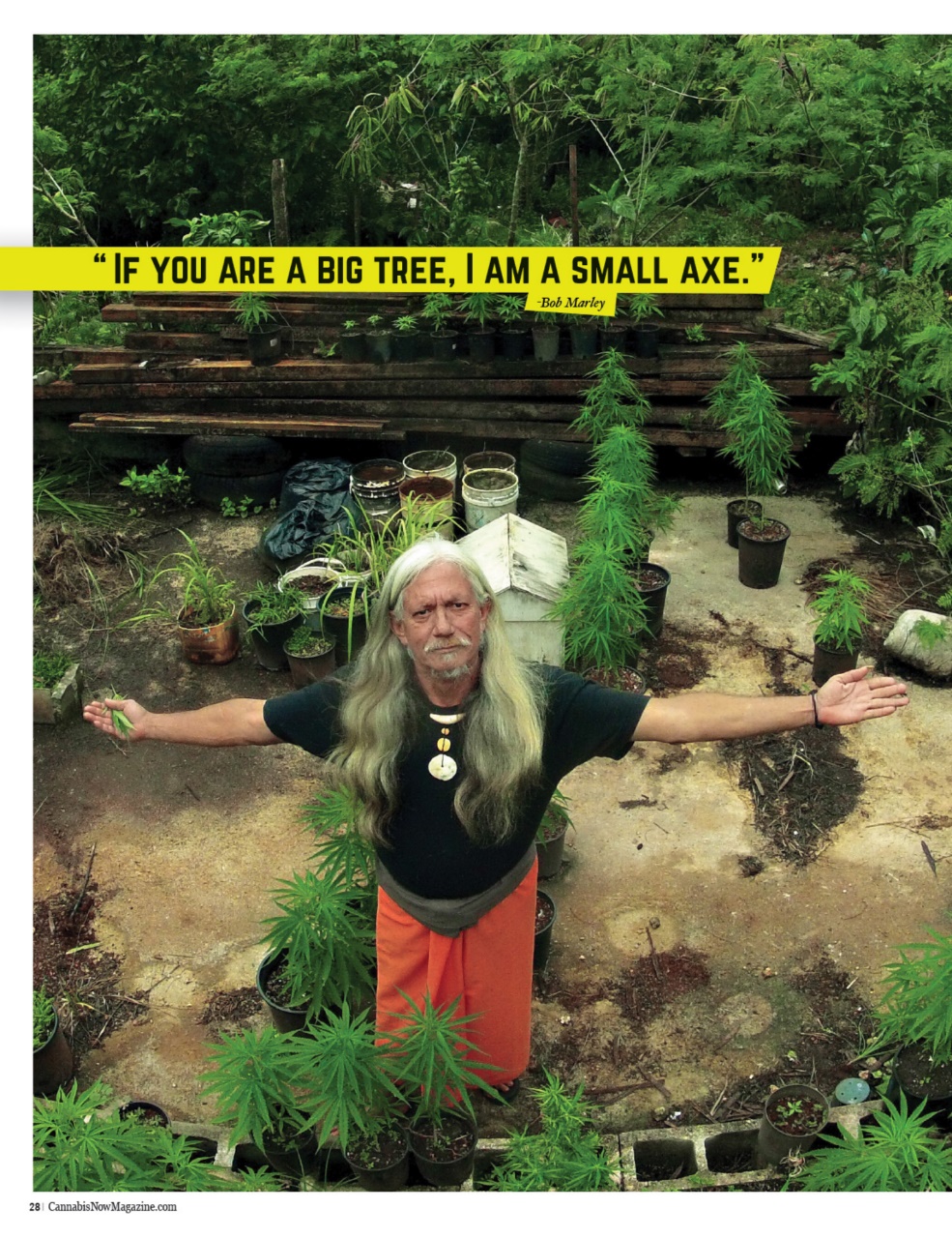 Cannabis Now Preview Pages