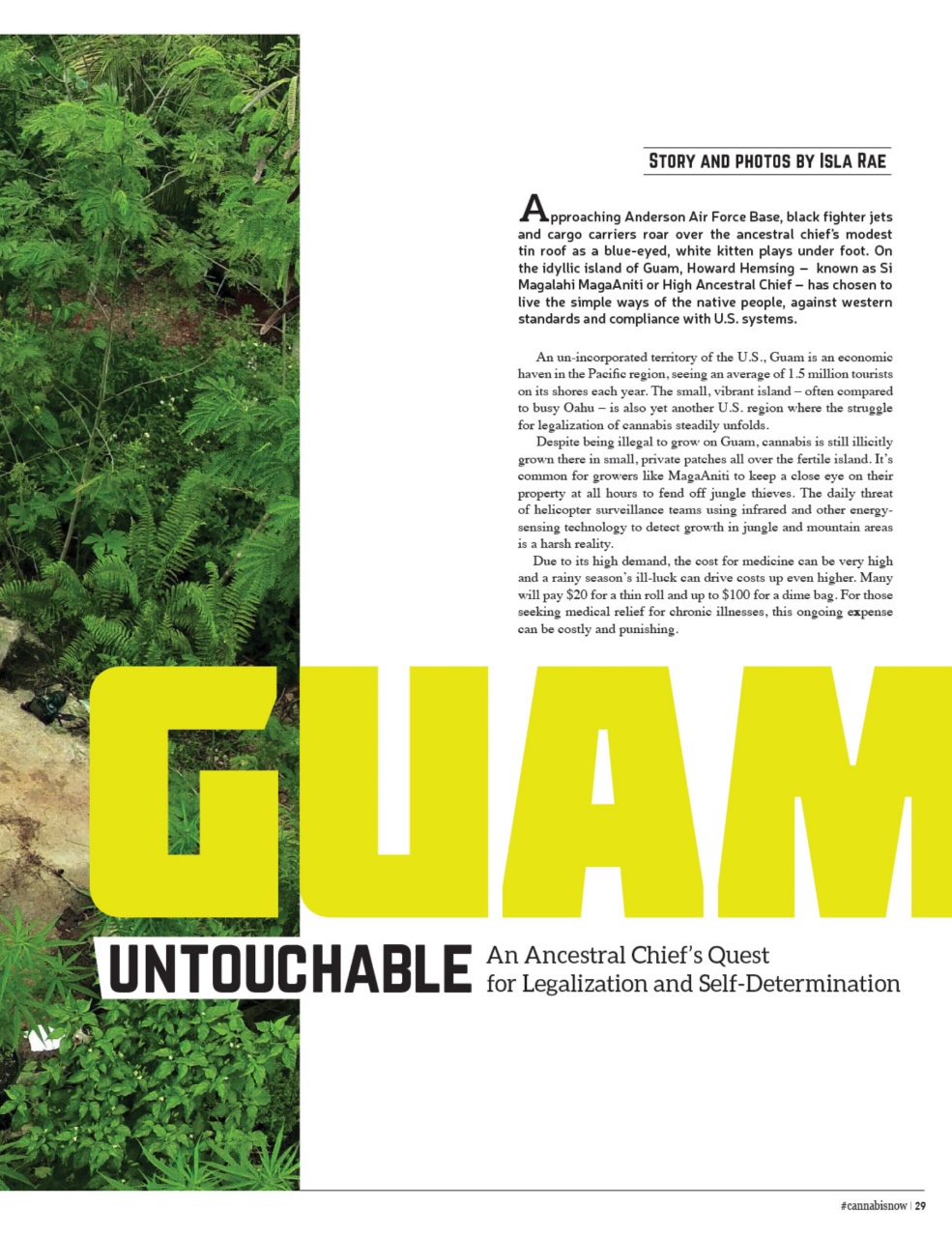 Cannabis Now Preview Pages