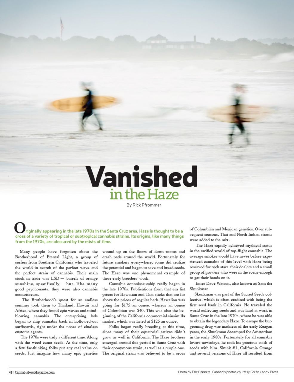 Cannabis Now Preview Pages