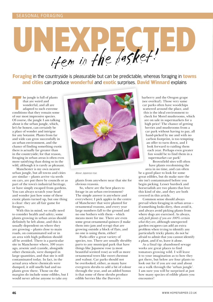 Home Farmer Magazine Preview Pages