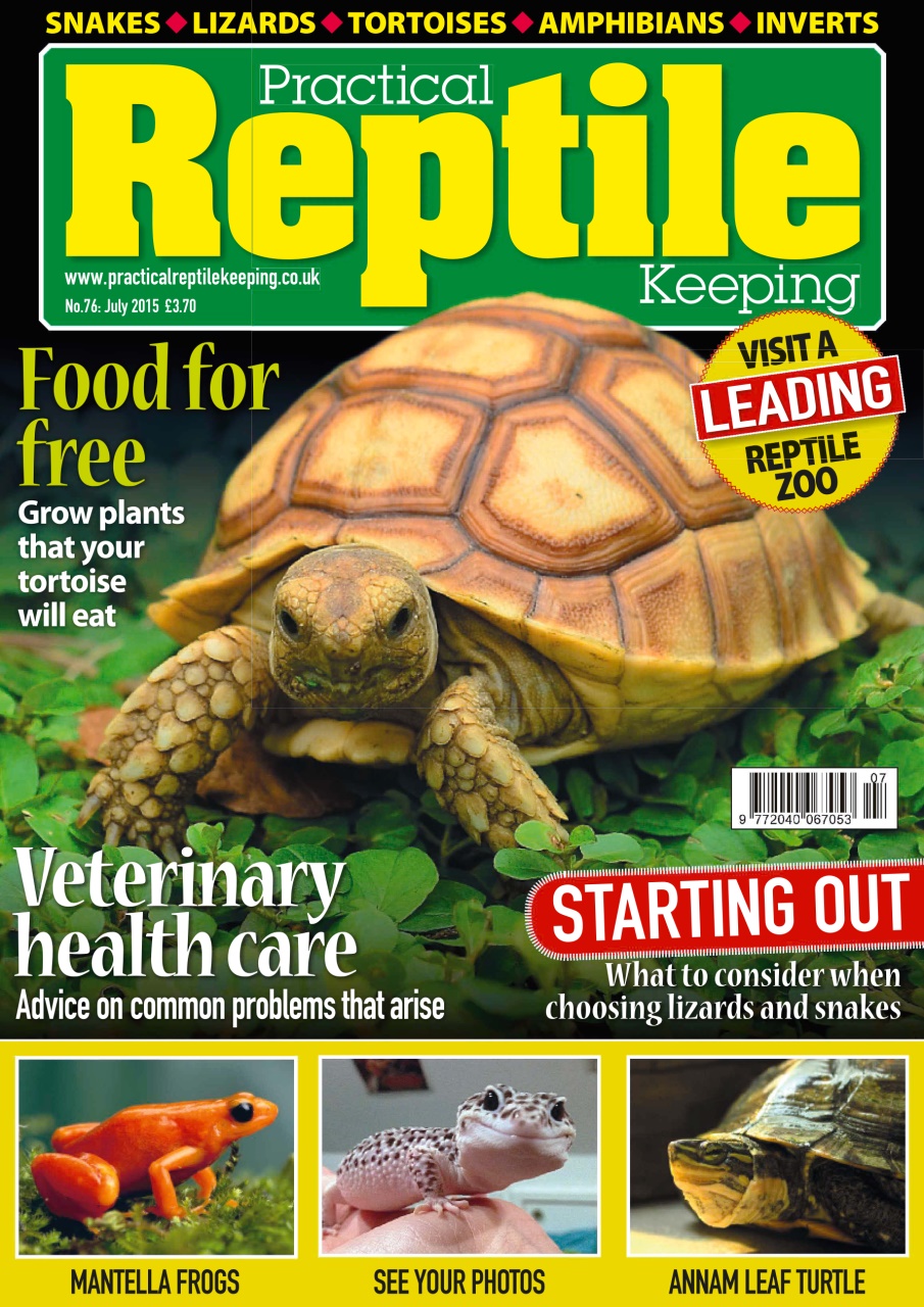 Practical Reptile Keeping Preview Pages