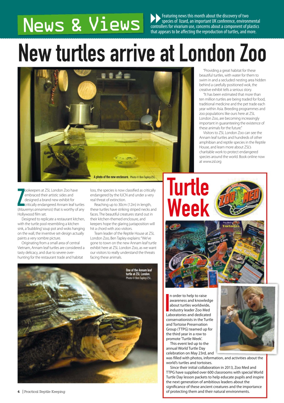 Practical Reptile Keeping Preview Pages