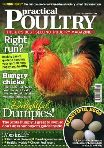 Practical Poultry issue No.138 Delightful Dumpies