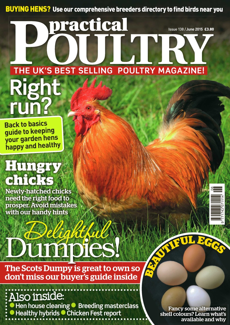 Practical Poultry Preview Pages