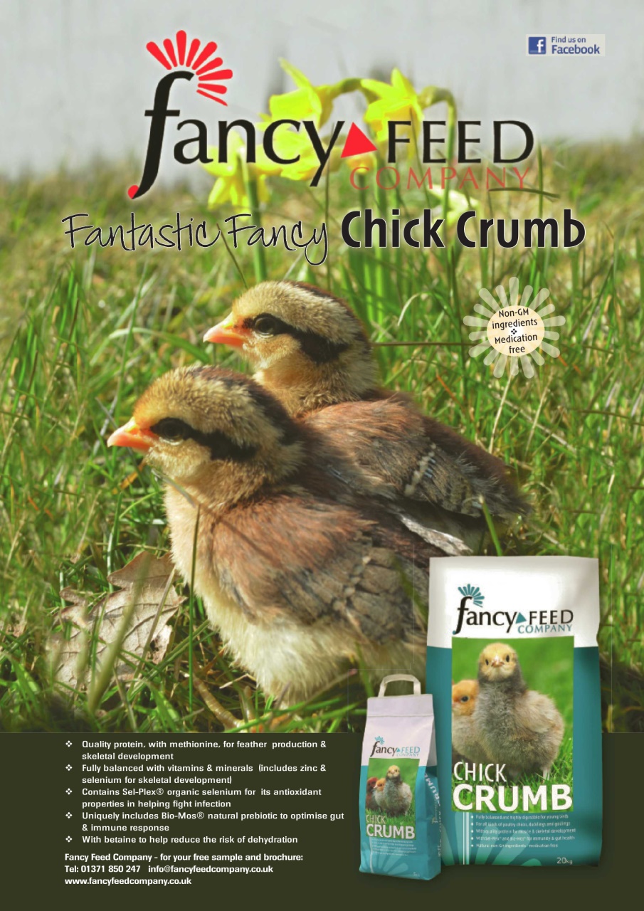 Practical Poultry Preview Pages