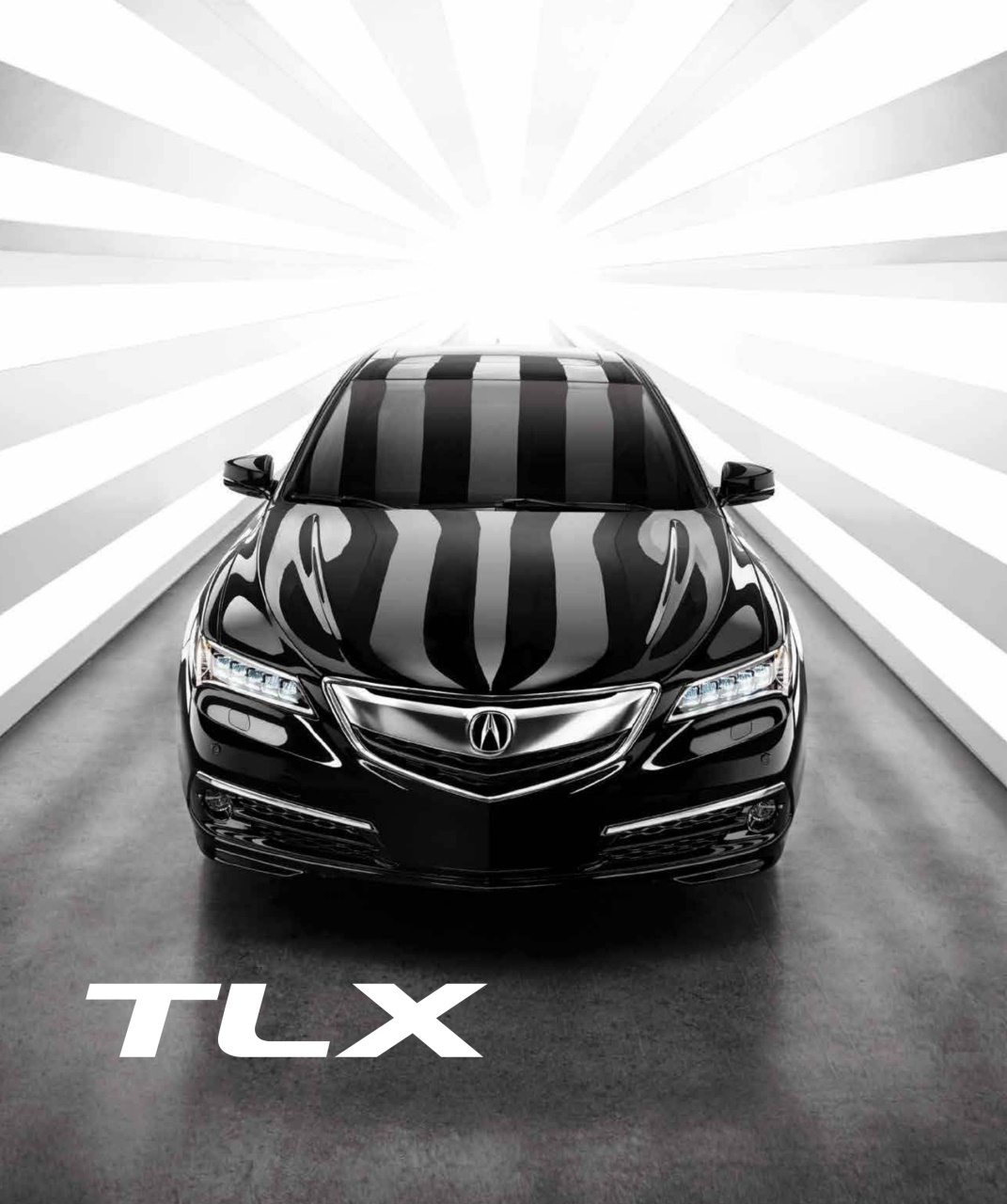 Avenue Calgary Preview Pages