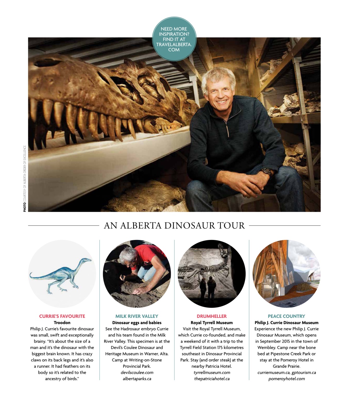 Avenue Calgary Preview Pages