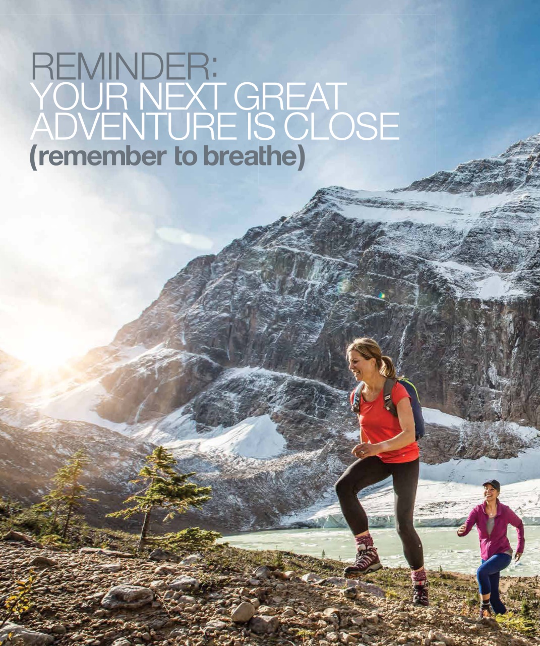 Avenue Calgary Preview Pages