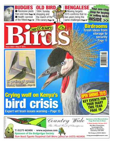 Cage & Aviary Birds issue No.5856 Crying Wolf on Kenya's Bird Crisis