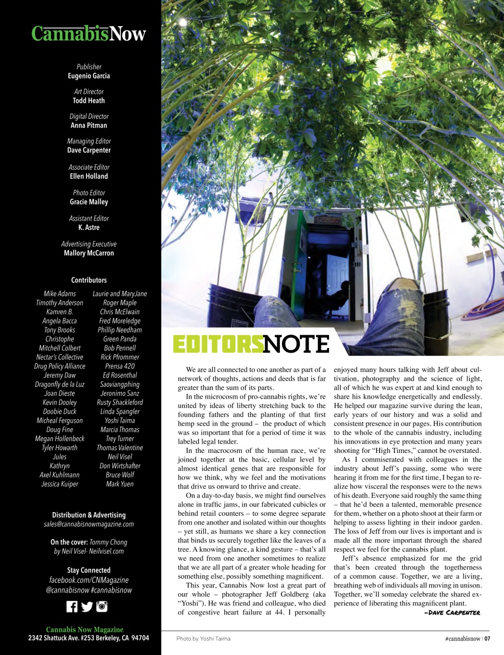 Cannabis Now Preview Pages