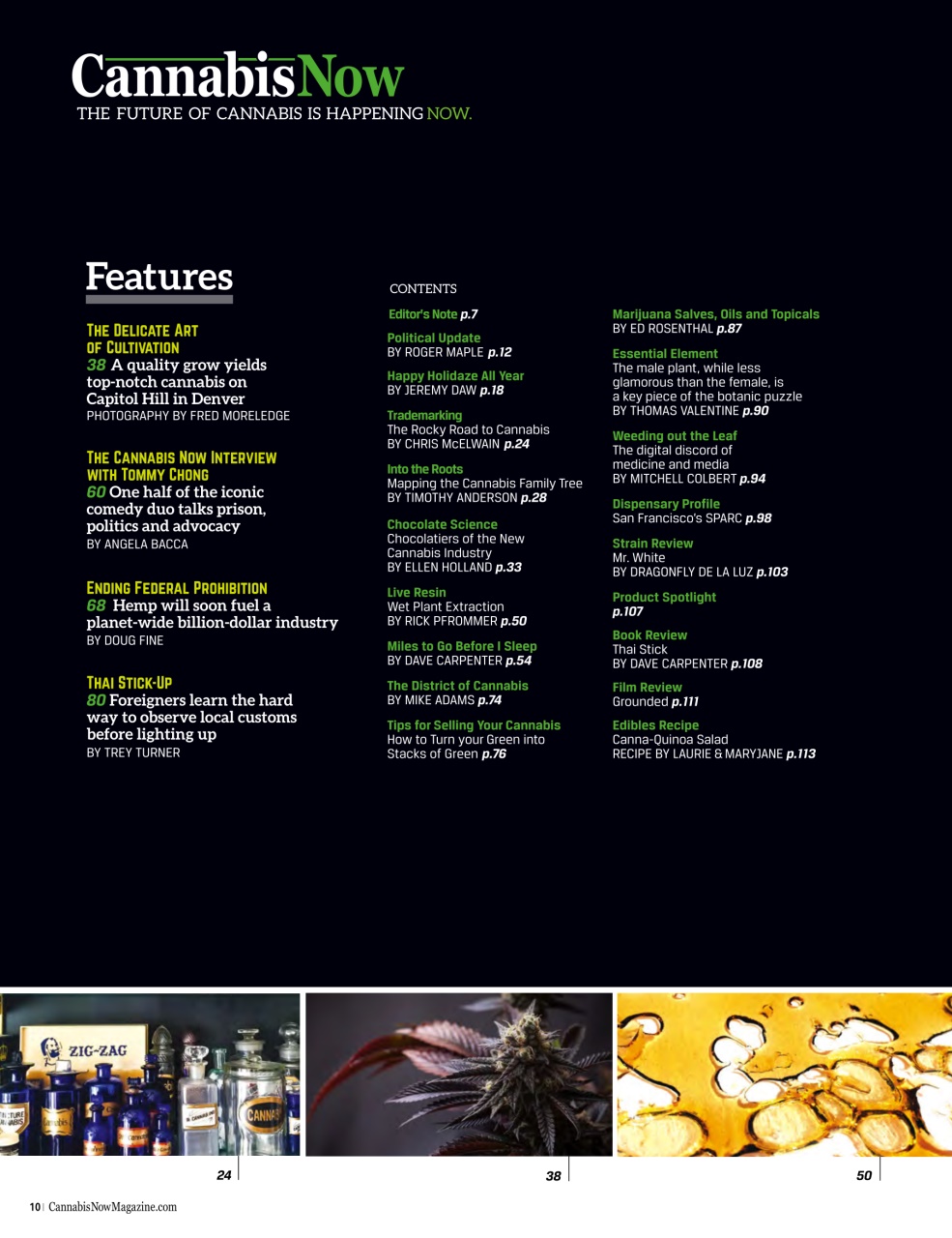 Cannabis Now Preview Pages