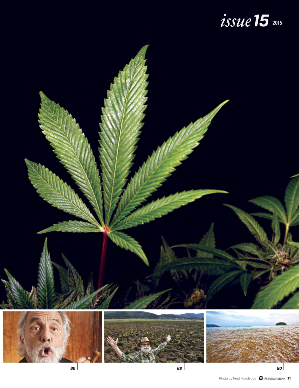 Cannabis Now Preview Pages