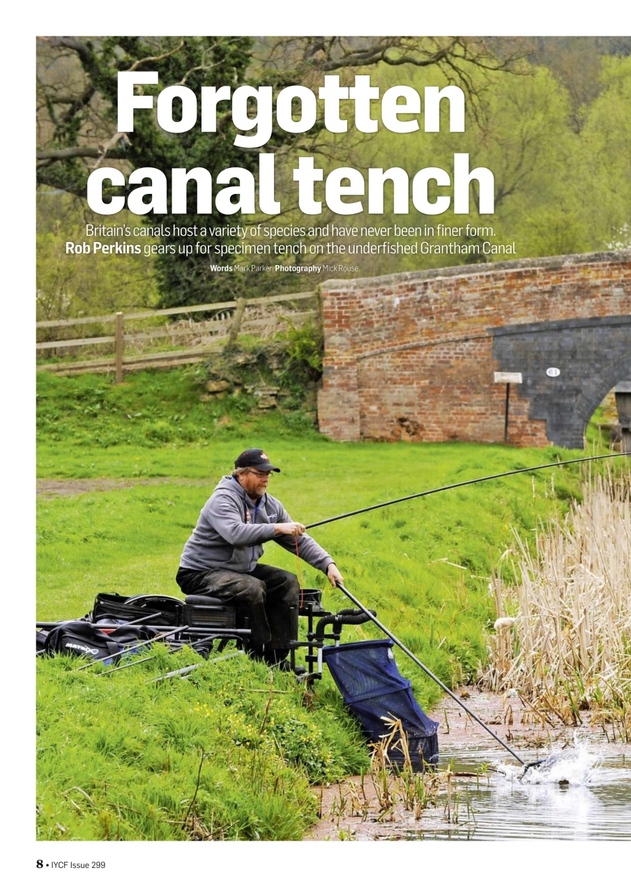 Improve Your Coarse Fishing Preview Pages