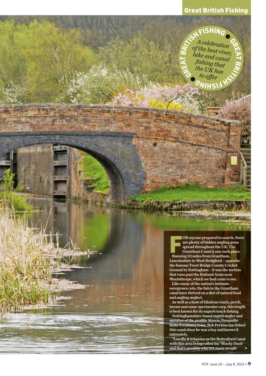 Improve Your Coarse Fishing Preview Pages