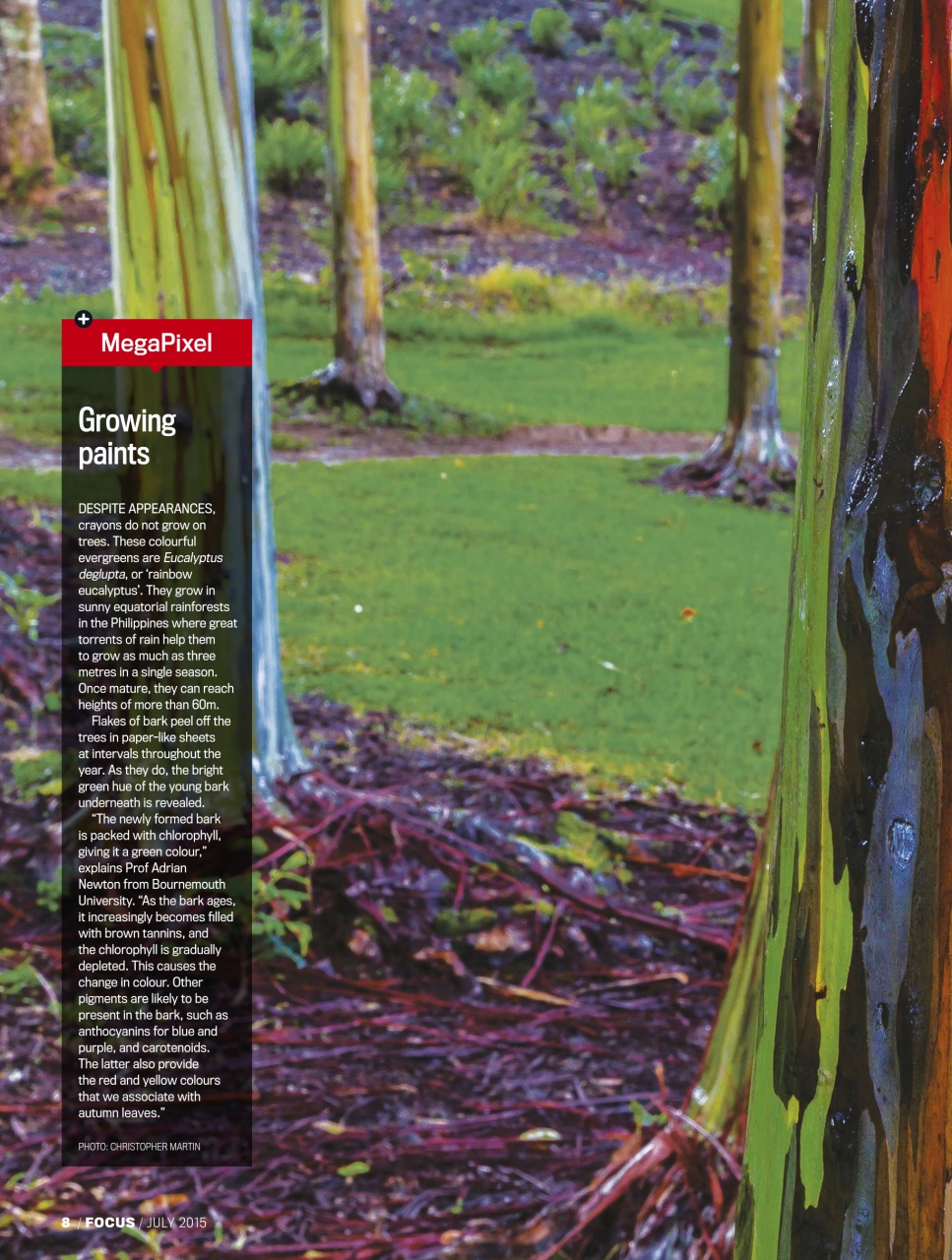 BBC Science Focus Magazine Preview Pages