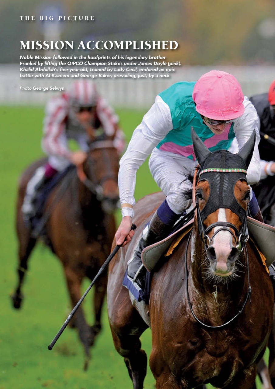 The Owner Breeder Preview Pages