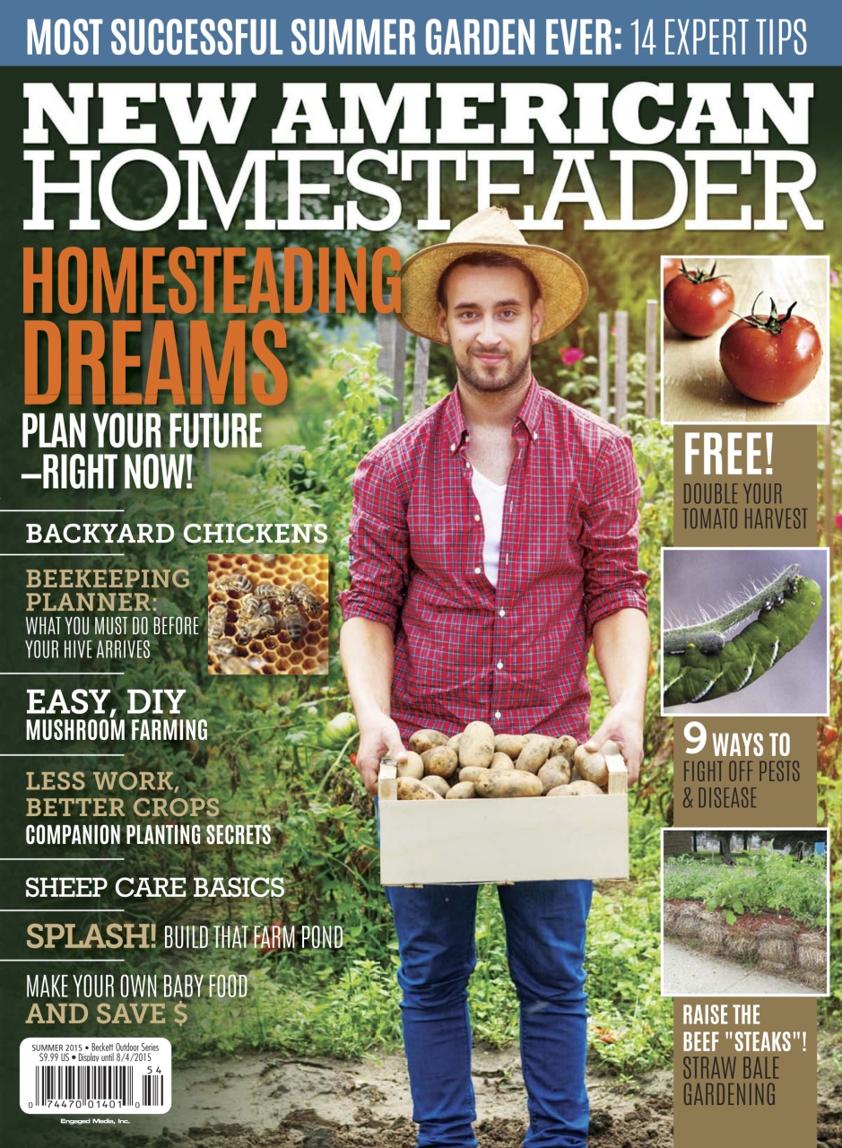 Romantic Homes Preview Pages