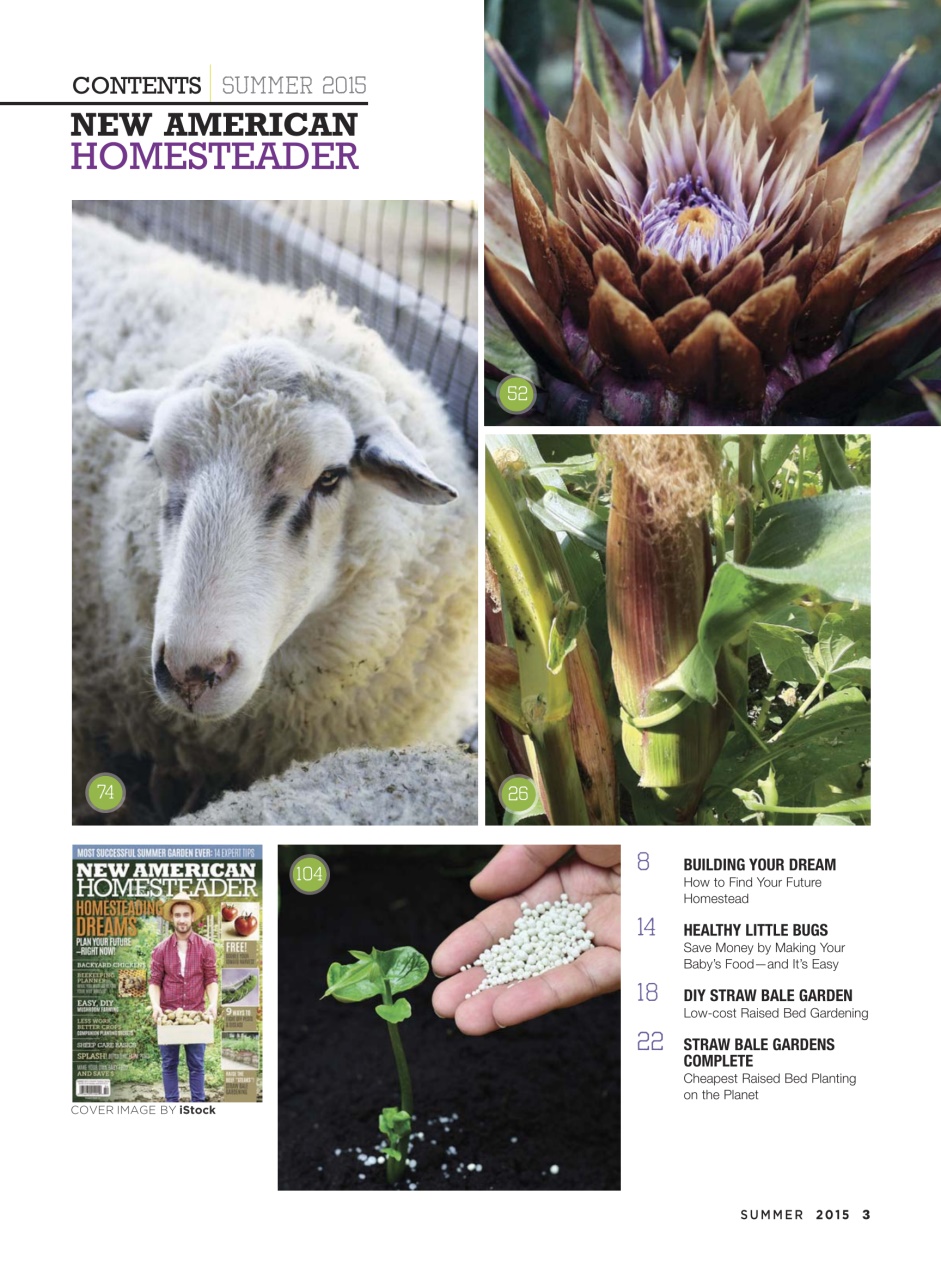 Romantic Homes Preview Pages