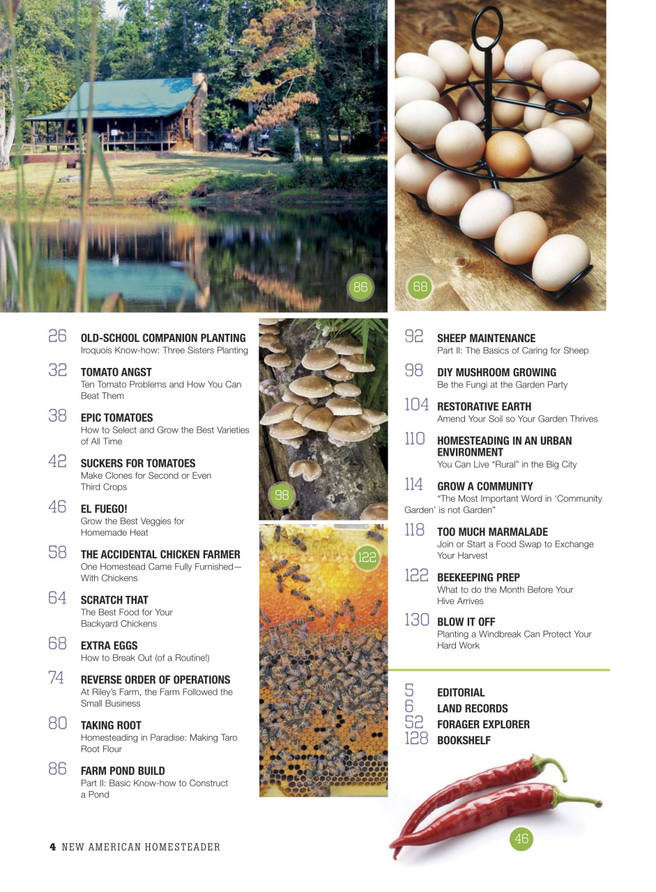 Romantic Homes Preview Pages