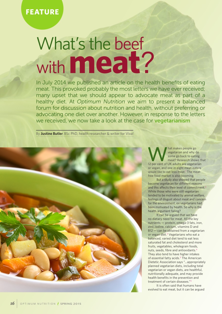 Optimum Nutrition Preview Pages