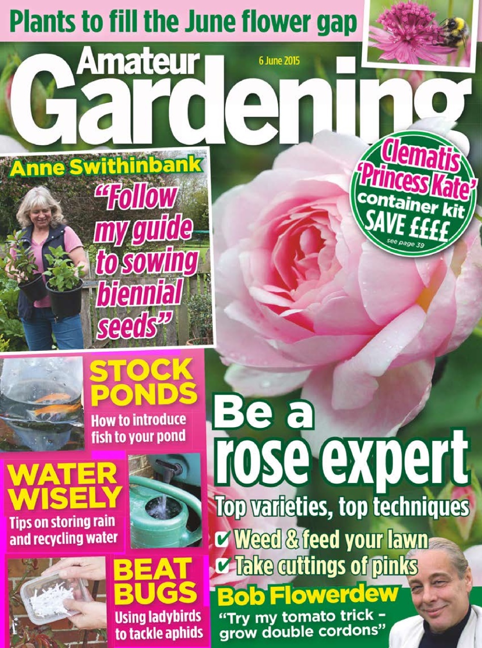 Amateur Gardening Preview Pages