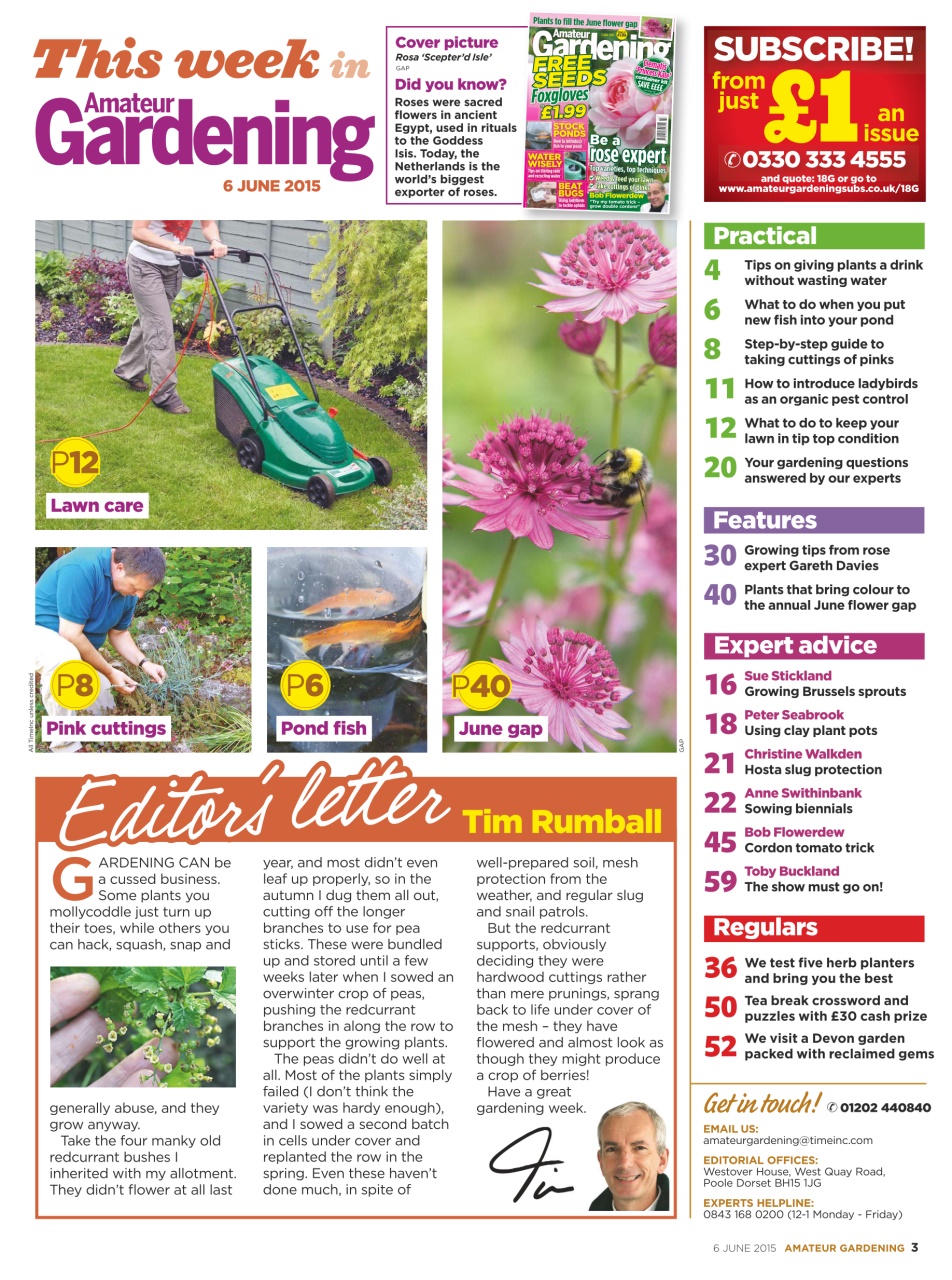 Amateur Gardening Preview Pages