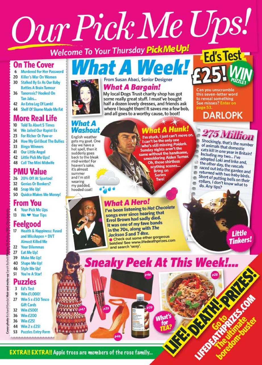 Pick Me Up Preview Pages