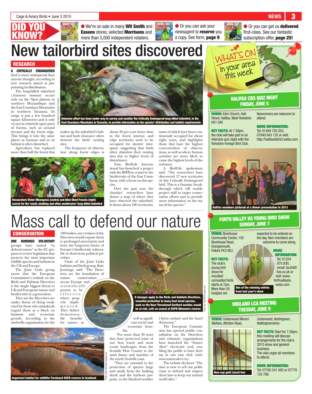 Cage & Aviary Birds Preview Pages